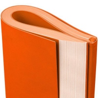 Ежедневник Flat Maxi, недатированный, 6 цветов. Артикул р17892