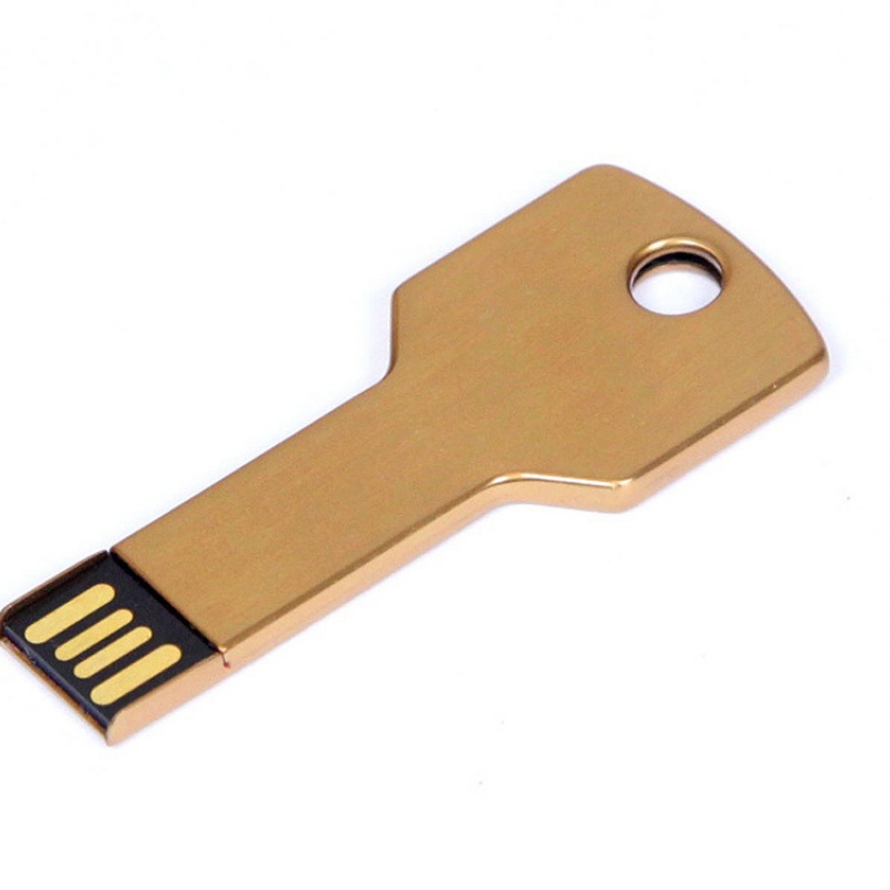 USB 2.0- флешка на 64 Гб в виде ключа, красная, серебристая, золотистая, синяя, зеленая. Артикул о6006.64