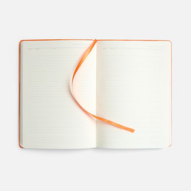 Ежедневник Vale New, недатированный, 9 цветов. Артикул р26202