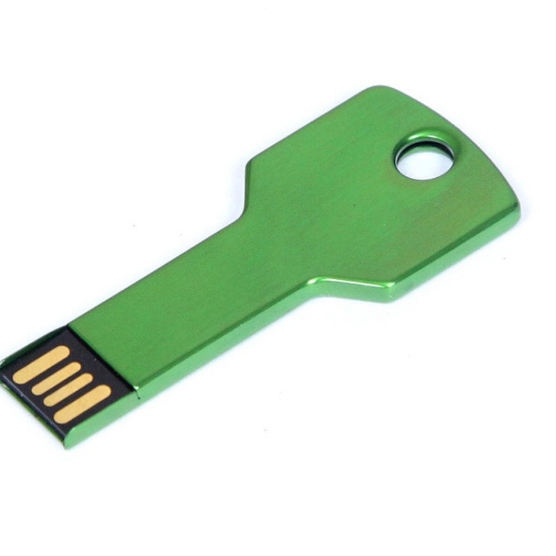 USB 2.0- флешка на 64 Гб в виде ключа, красная, серебристая, золотистая, синяя, зеленая. Артикул о6006.64