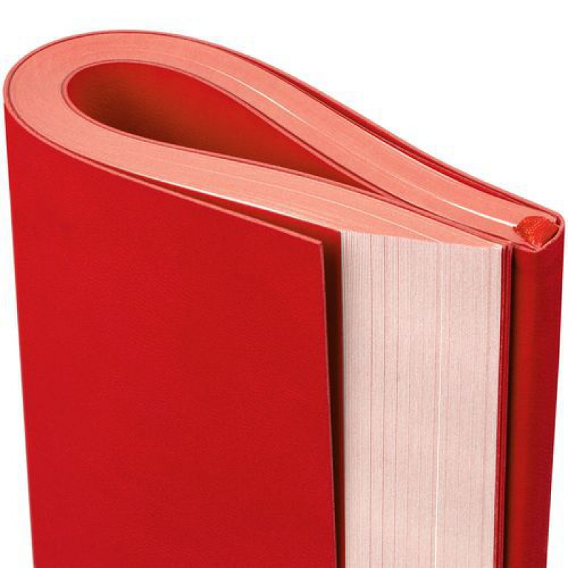 Ежедневник Flat Maxi, недатированный, 6 цветов. Артикул р17892